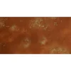Pittura acciaio ossidato verde-rame effetto corten 1 l