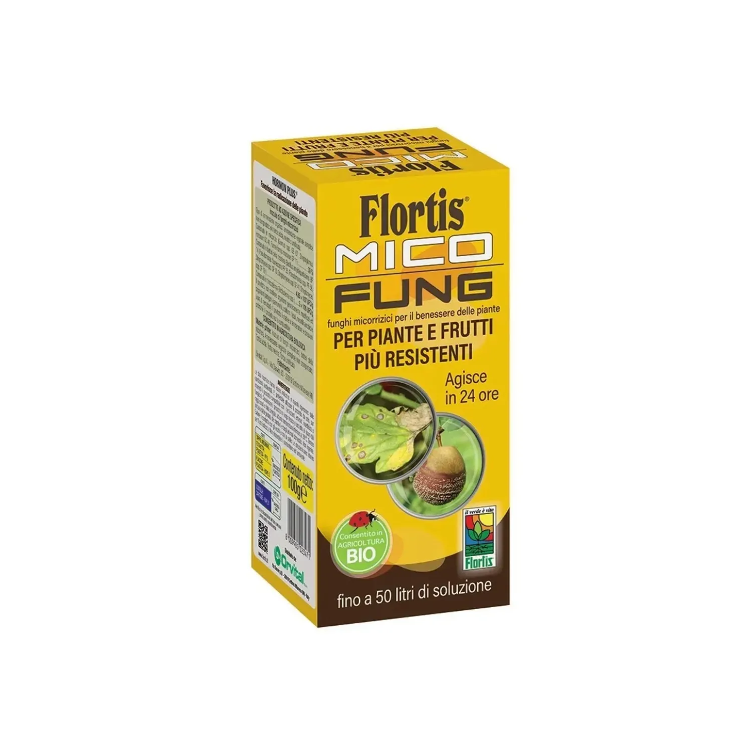 Polvere bagnabile mico fung 100 g