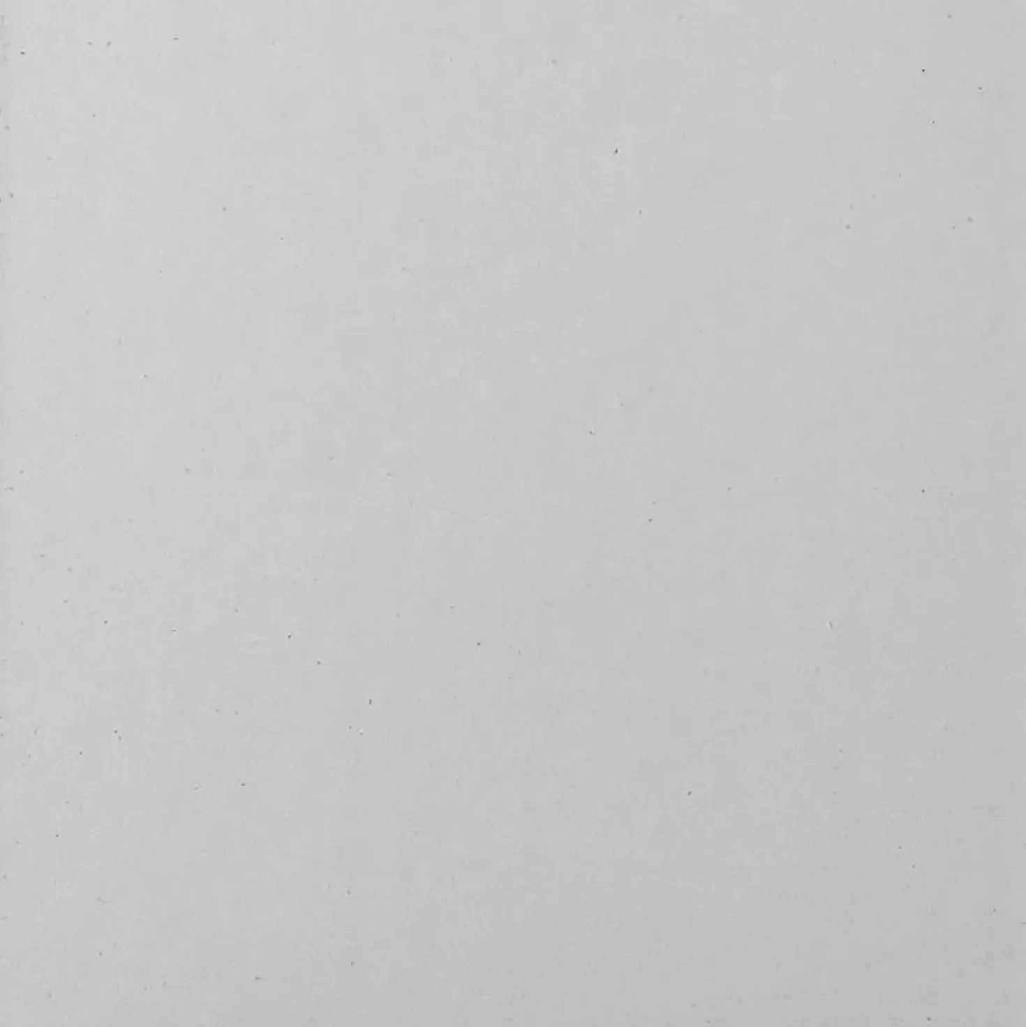 Porta battente doccia 1 anta Bild L77/83xH190 cm bianco decoro 2