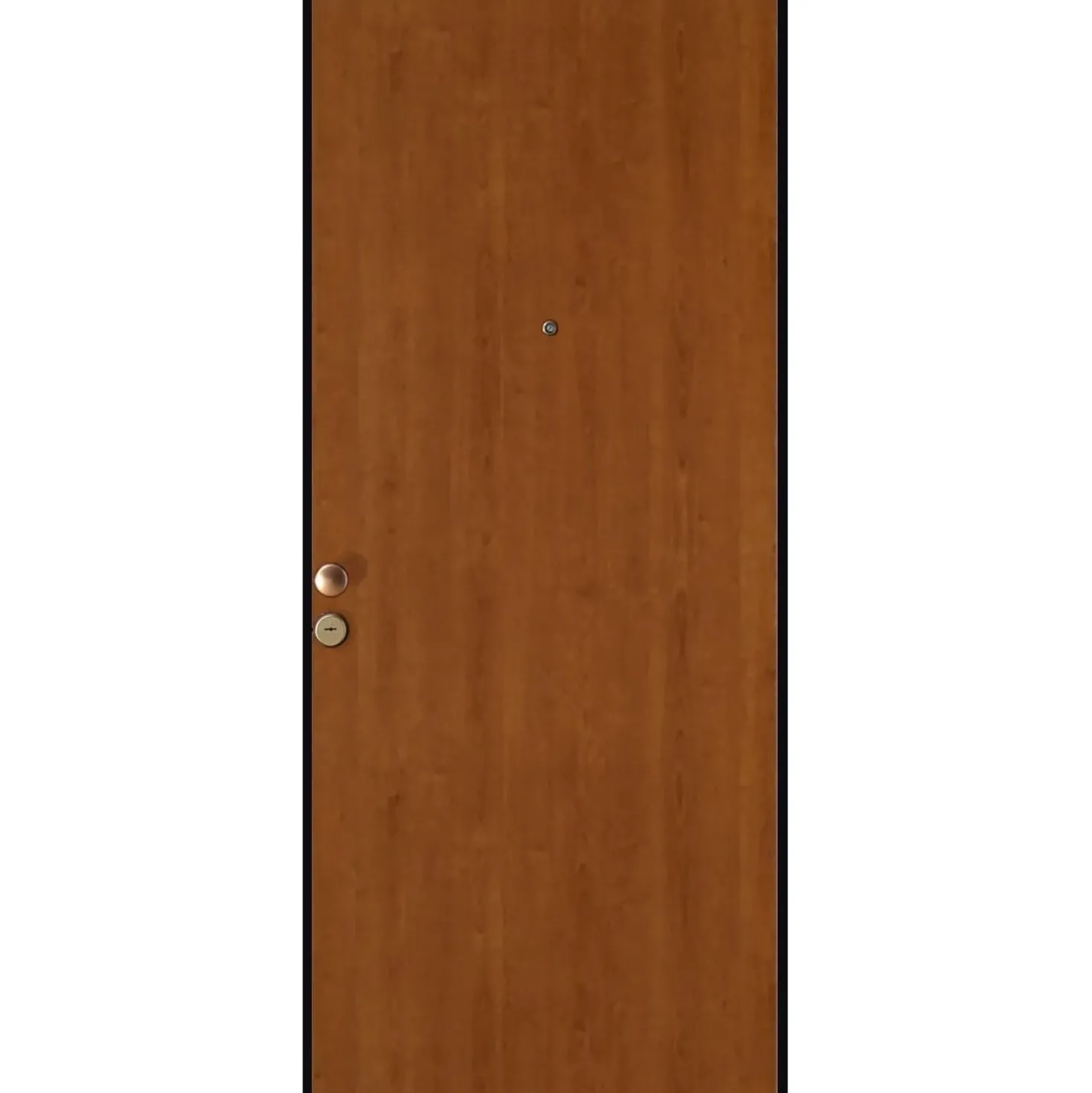 Porta blindata Reina 90x210 cm tanganica apertura dx