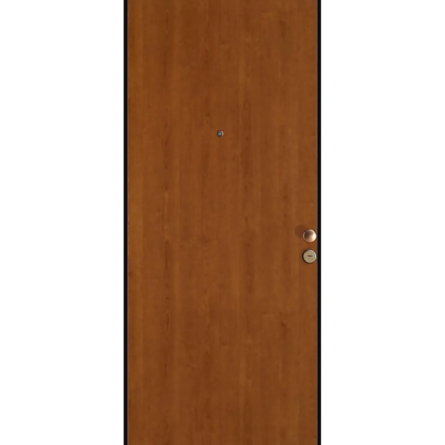 Porta blindata Reina 90x210 cm tanganica apertura sx