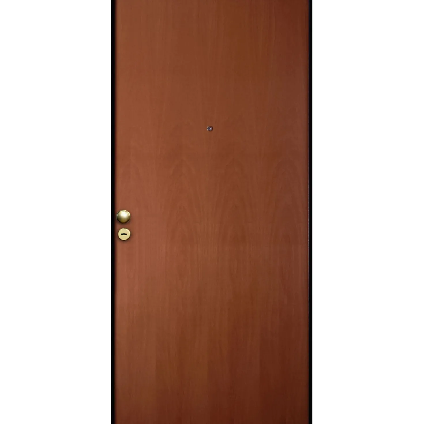 Porta blindata Reina 90x210 cm tanganica apertura sx