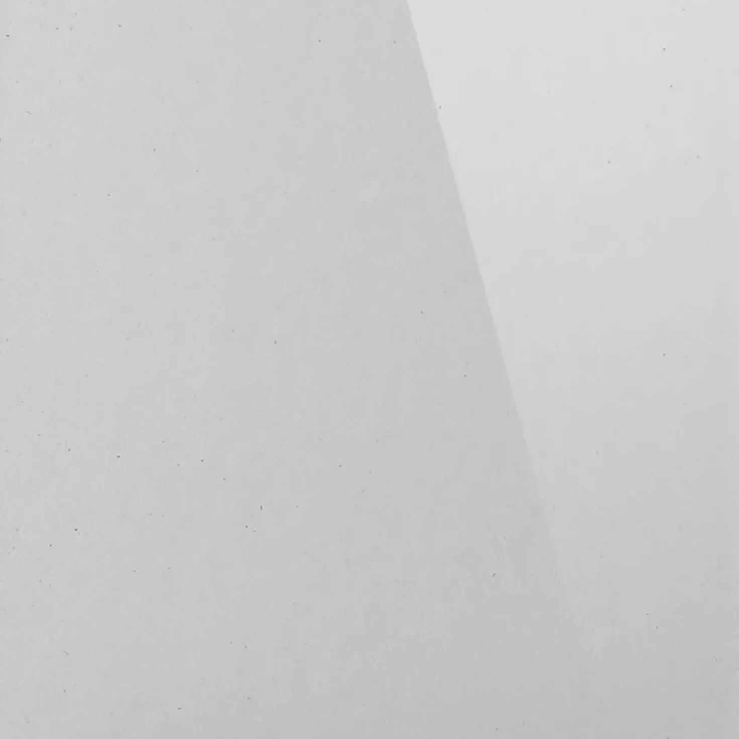 Porta saloon doccia 2 ante Platz 80 cm H 190 cm bianco e trasparente 3 mm