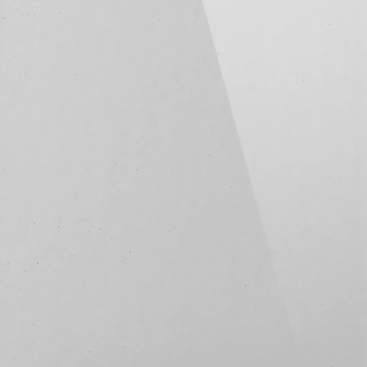 Porta saloon doccia 2 ante Platz 80 cm H 190 bianco e sintetico