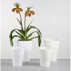 Portavaso per orchidee Scheurich 608 Ø 16 cm bianco panna