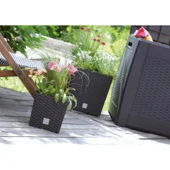 Portavaso Prosperplast effetto rattan 33x33x33 cm antracite