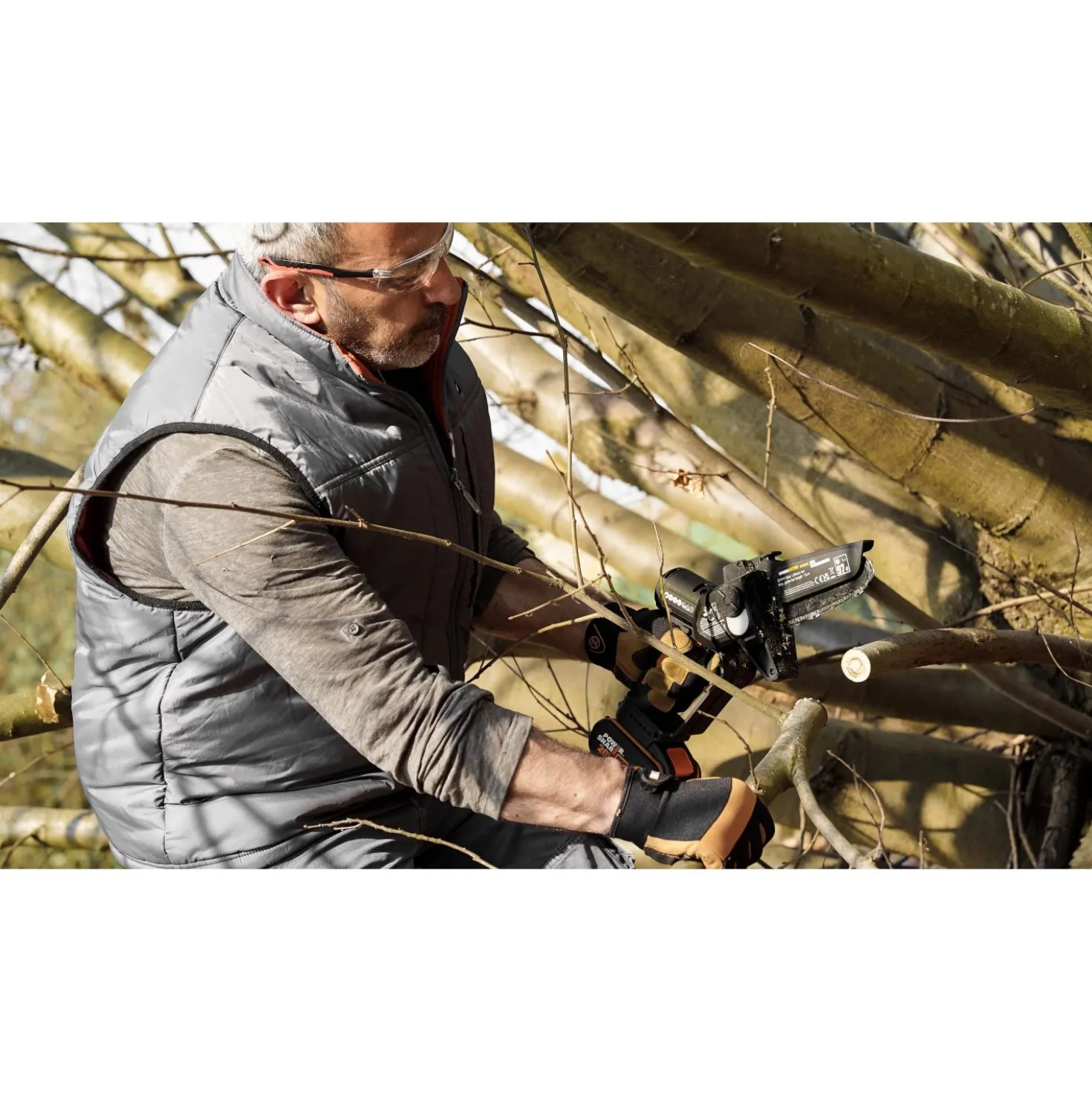 Potatore a batteria Worx WG325 20 V