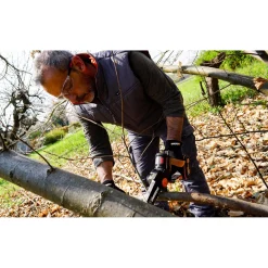 Potatore a batteria Worx WG325 20 V