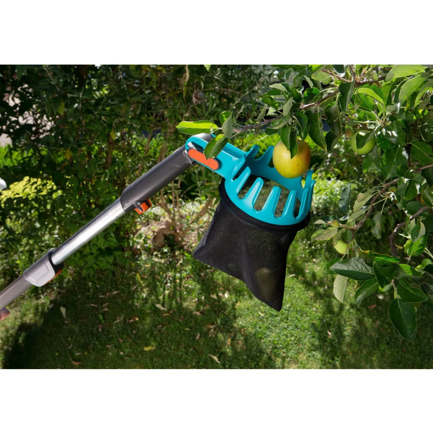 Raccoglifrutta Gardena combisystem con manico incl