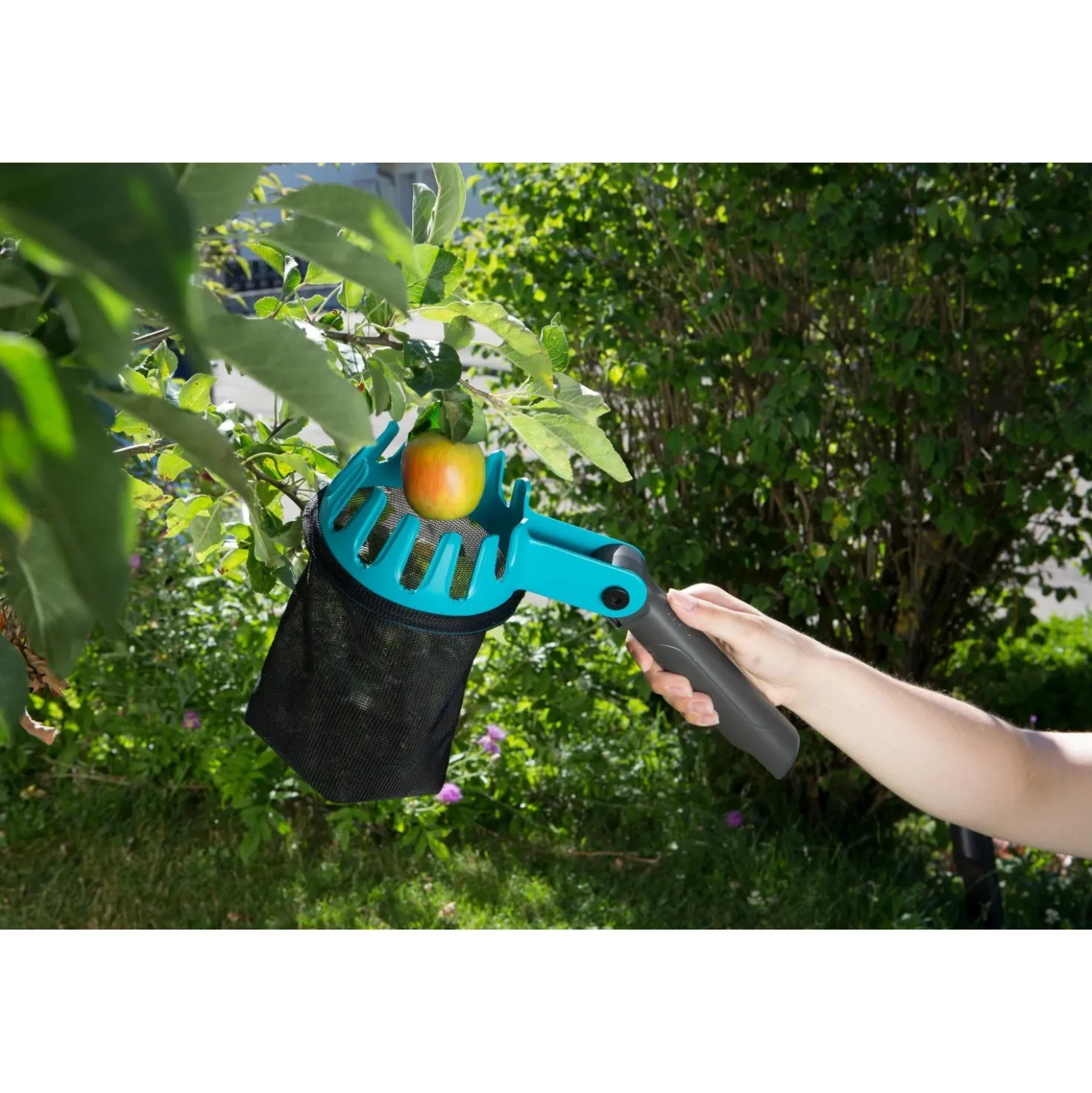 Raccoglifrutta Gardena combisystem con manico incl