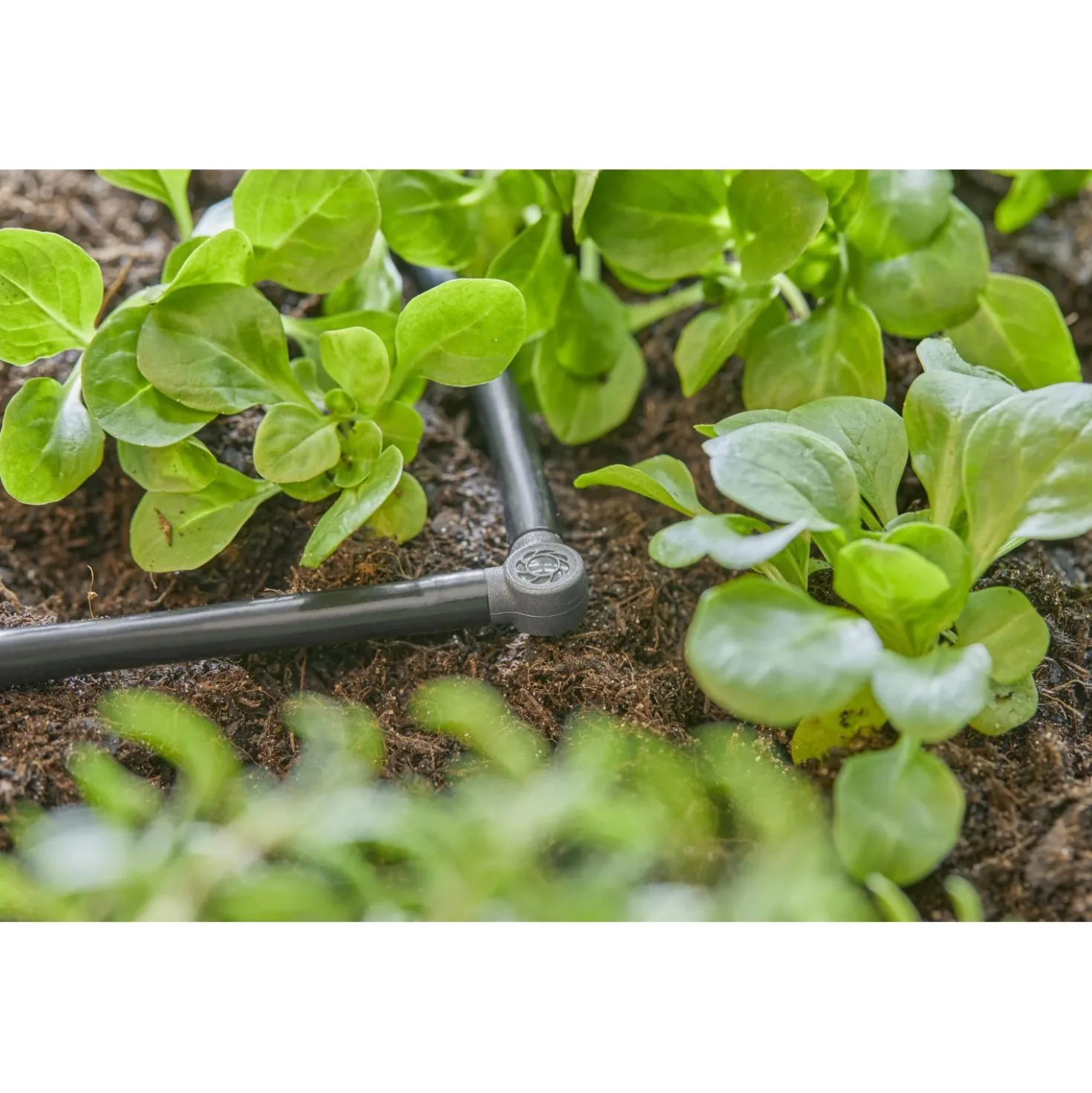 Raccordo a L Gardena per tubi Micro-Drip-System 4,6 mm (3/16")