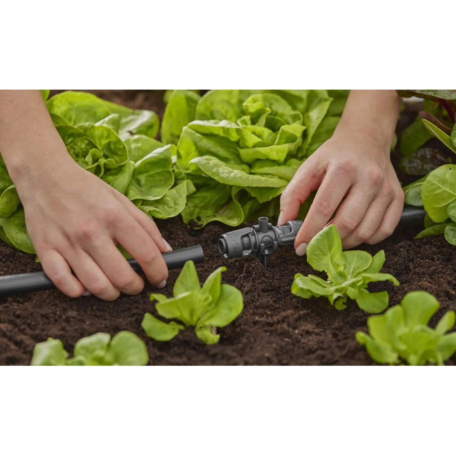 Raccordo a T Gardena per microspruzzo per tubi Micro-Drip-System 13 mm (1/2")