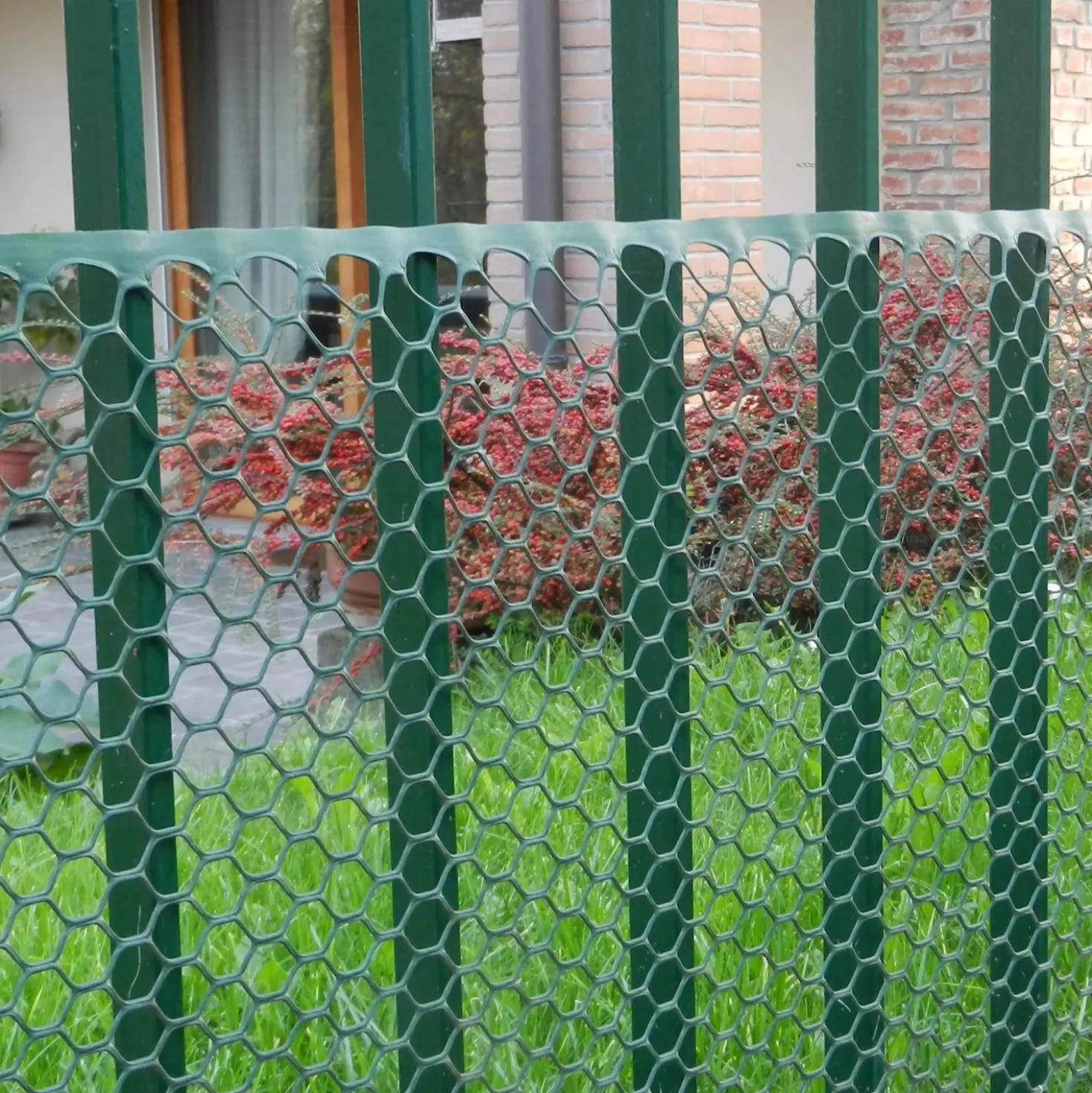 Rete in plastica Exagon 0,5x5 m verde