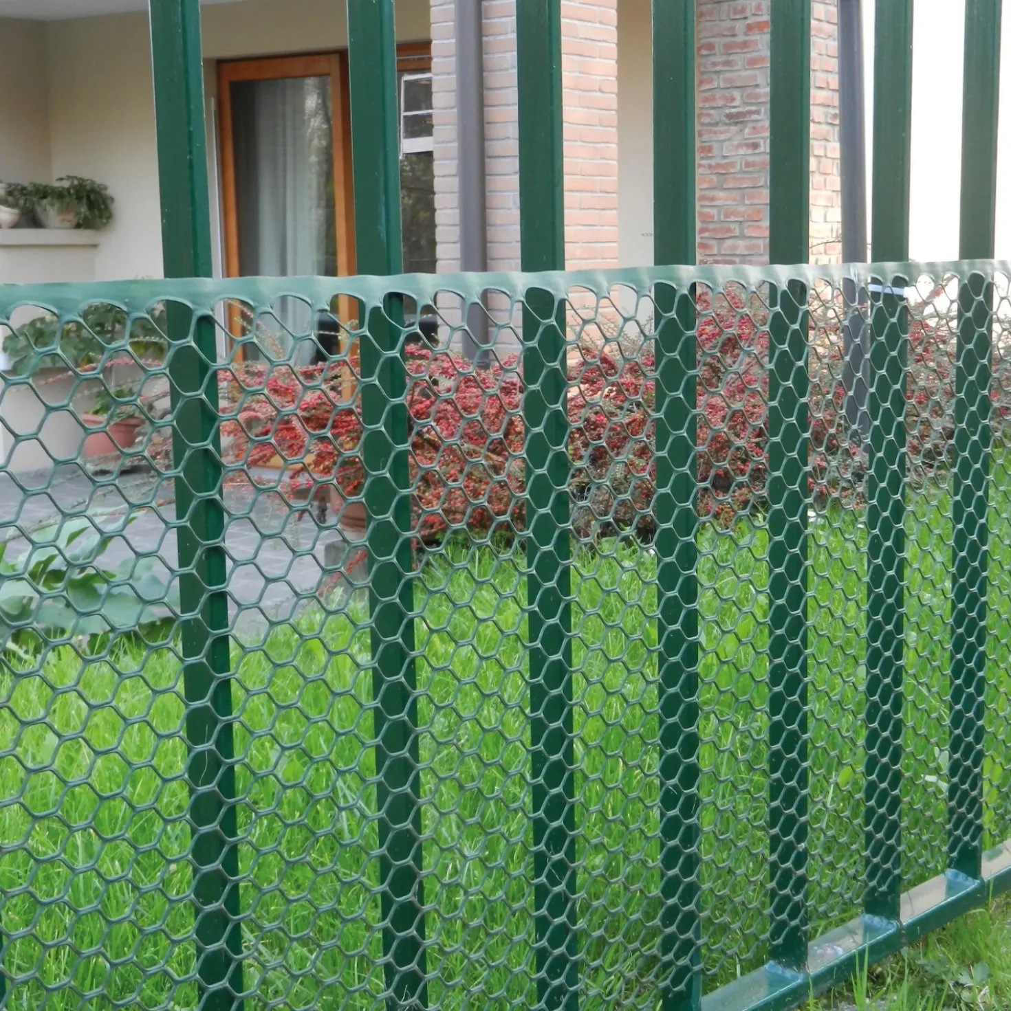 Rete in plastica Exagon 1x5 m verde