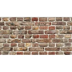 Rivestimento in polipropilene Plastonda Decor Brick 50x100 cm 0,5 m²