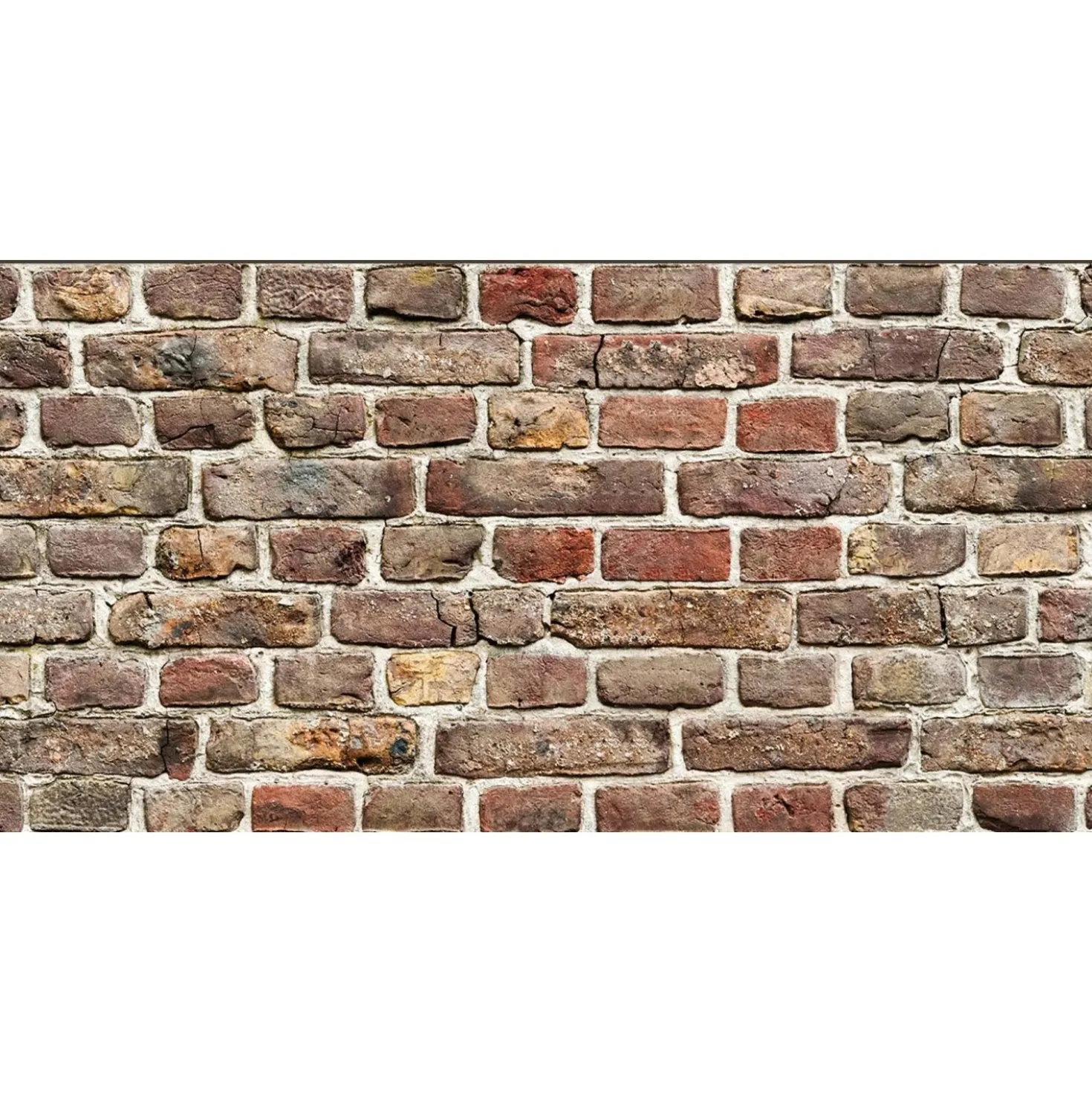 Rivestimento in polipropilene Plastonda Decor Brick 50x100 cm 0,5 m²