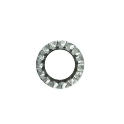 Rondella dentatura esterna din 6798-a zincata m6 pz40