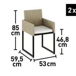 Salotto da giardino Edgemont in acciaio e rattan grigio chiaro 2 posti