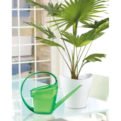Scheurich innaffiatoio loop verde scuro