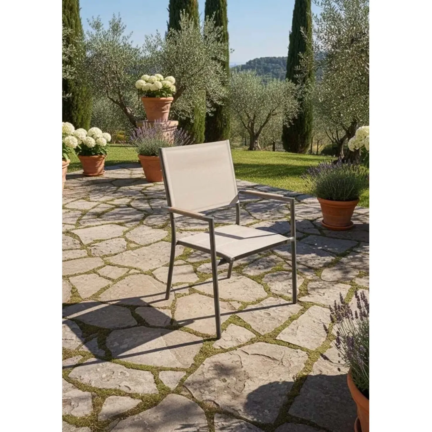 Sedia da giardino con braccioli in alluminio Lillà beige 6 pz