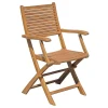 Sedia da giardino con braccioli pieghevole in legno
