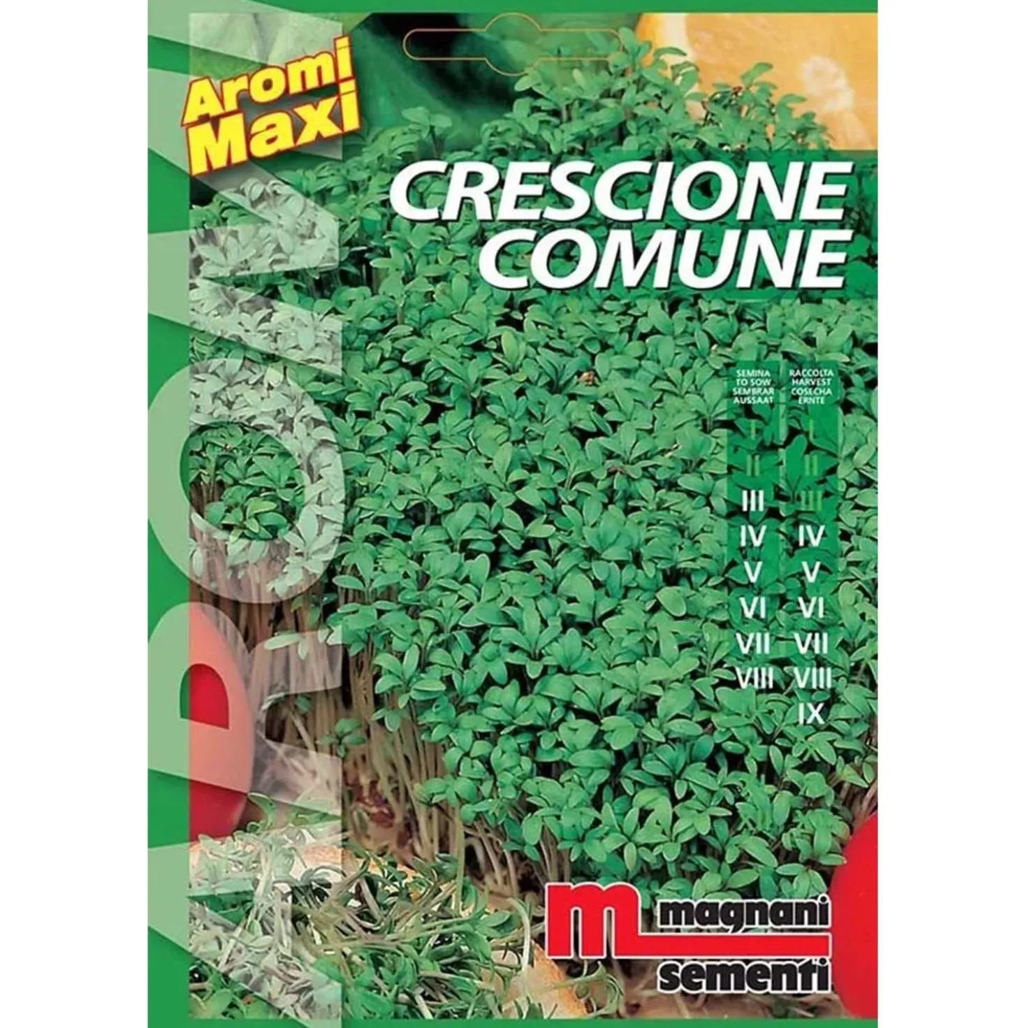Semi aromi Crescione comune