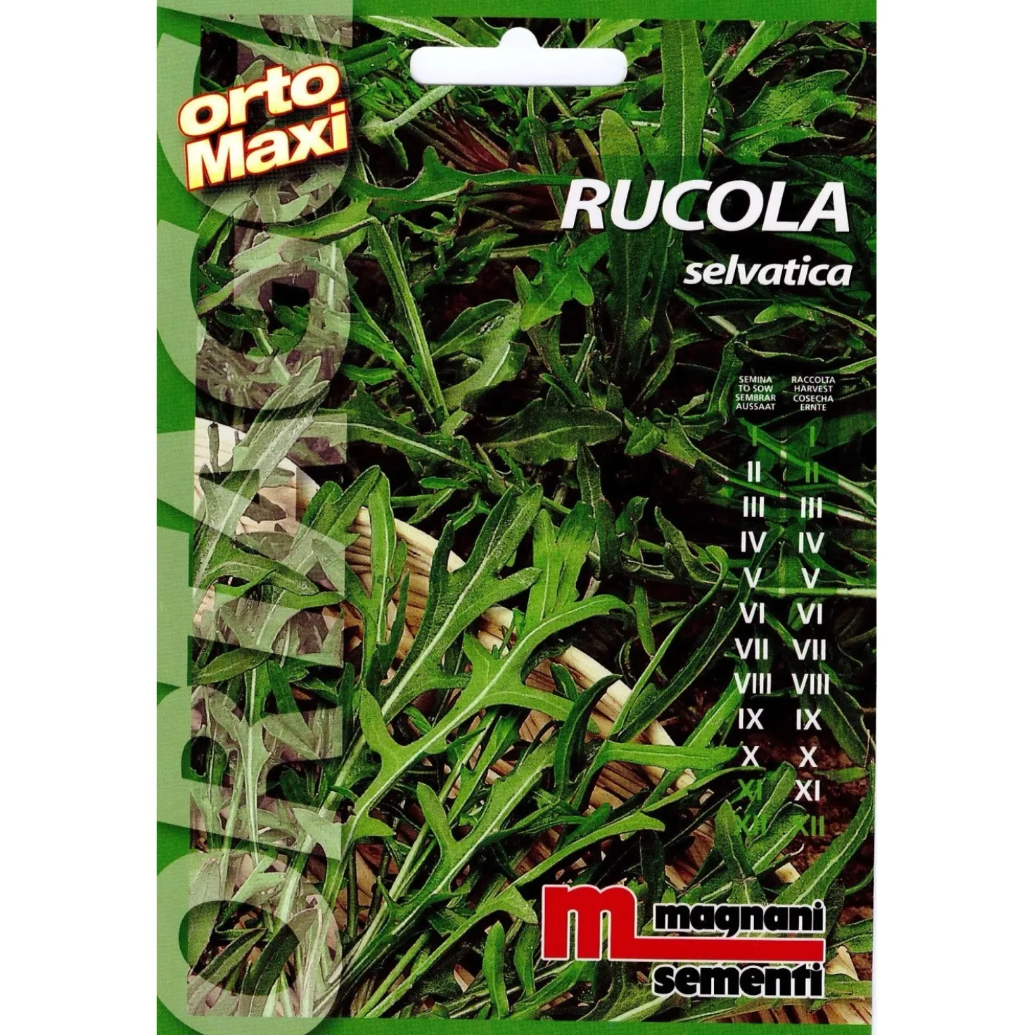 Semi aromi Rucola selvatica