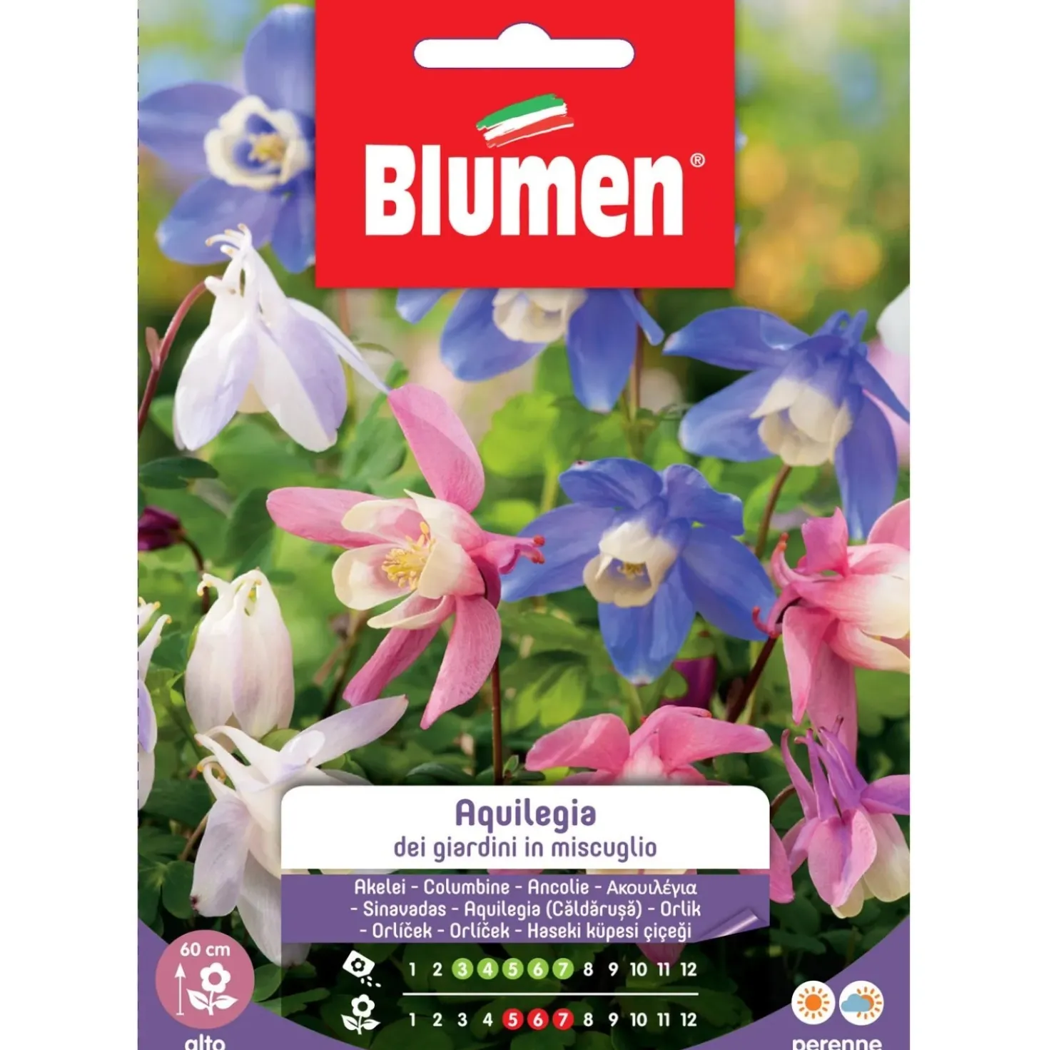 Semi Blumen Aquilegia dei giardini in miscuglio