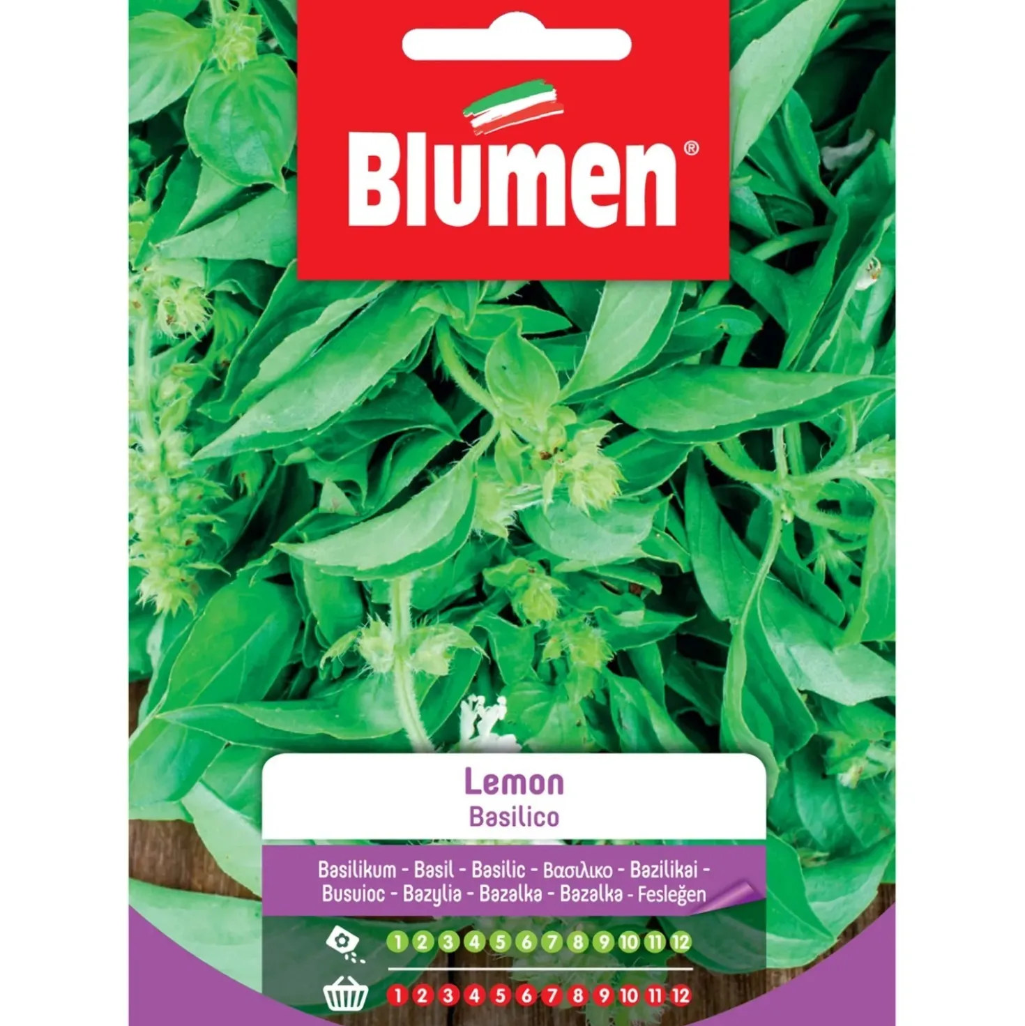 Semi Blumen Basilico lemon