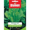 Semi Blumen Cicoria Spadona da taglio