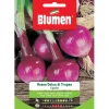 Semi Blumen Cipolla rossa dolce di Tropea 20 g