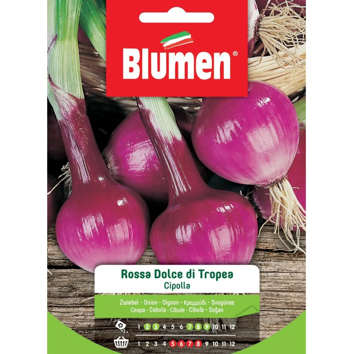 Semi Blumen Cipolla rossa dolce di Tropea 20 g