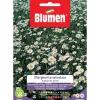 Semi Blumen Margheritina selvatica bianca dei prati