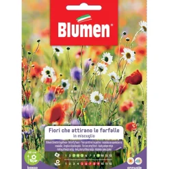 Semi Blumen miscuglio di fiori che attirano le farfalle