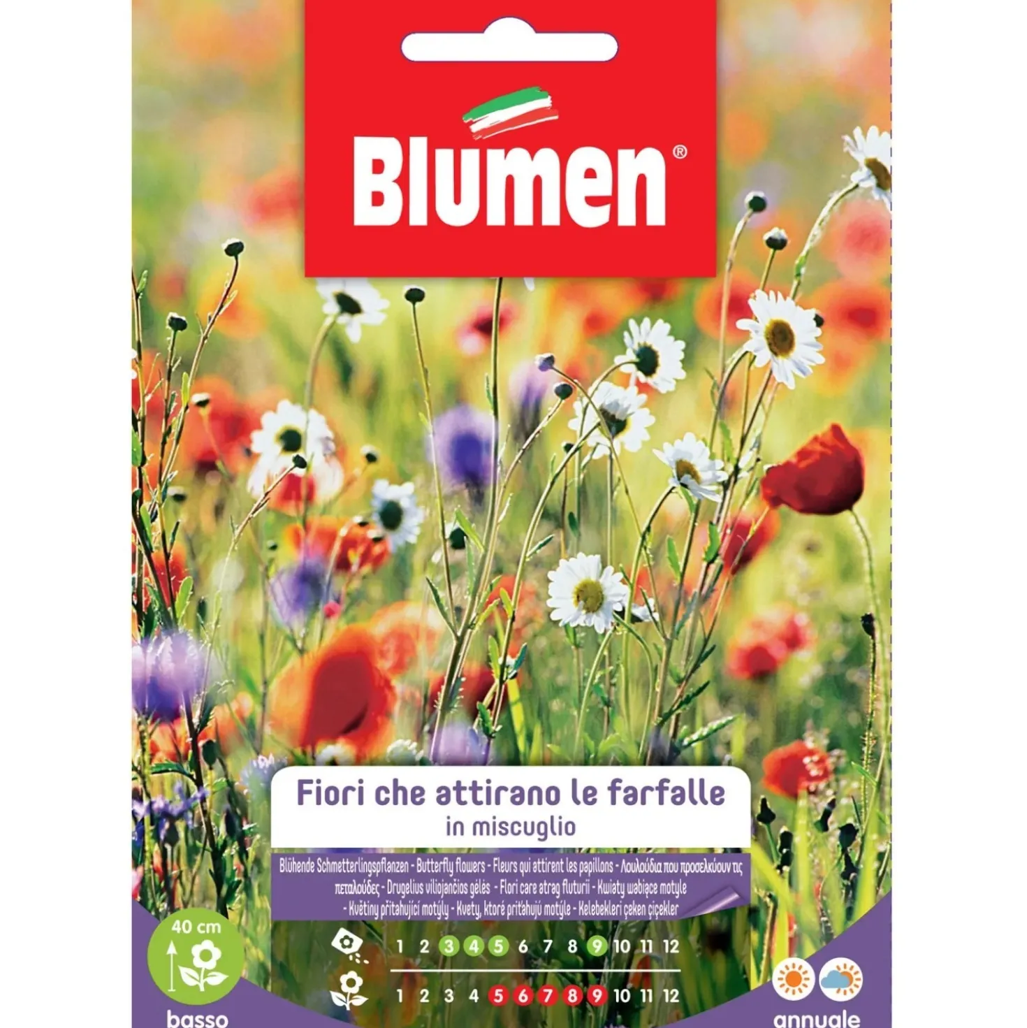 Semi Blumen miscuglio di fiori che attirano le farfalle