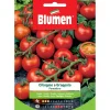 Semi Blumen Pomodoro ciliegino a grappolo
