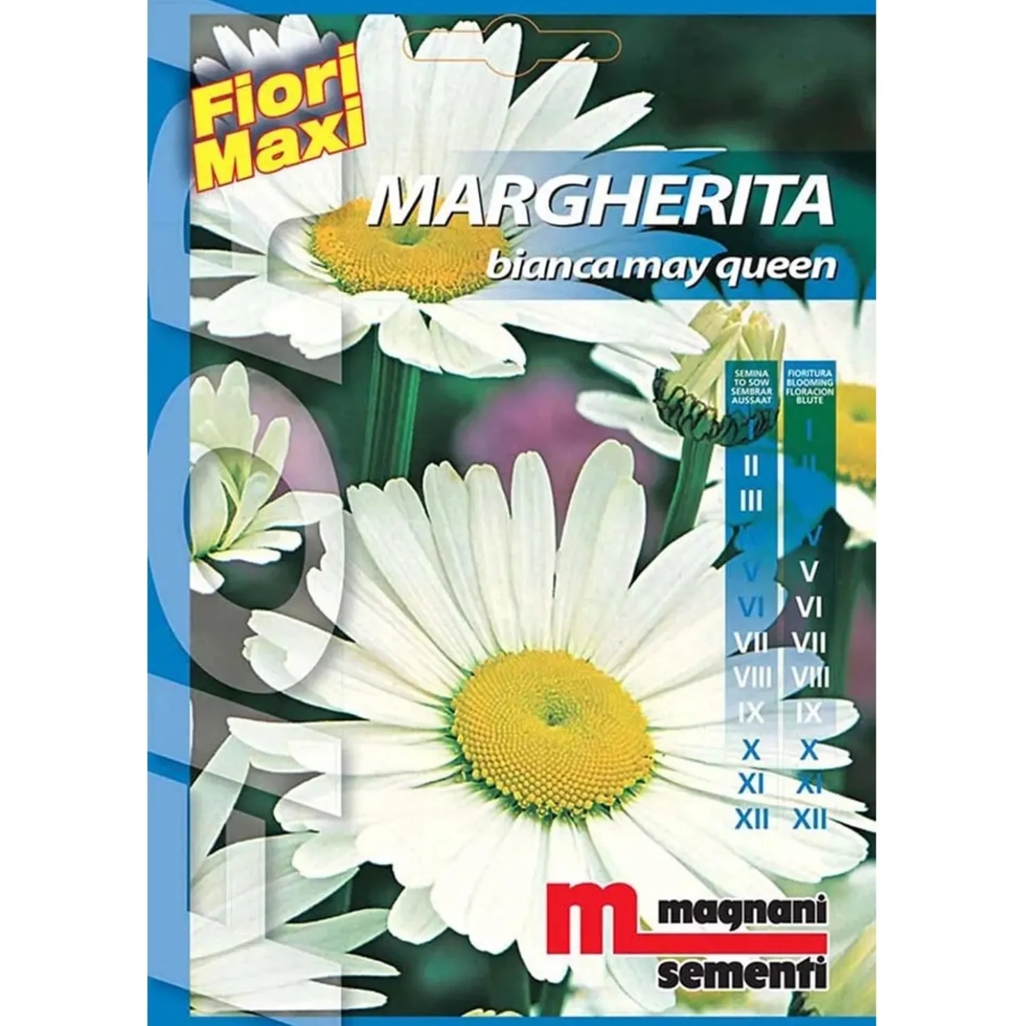 Semi fiori Margherita Mayqueen