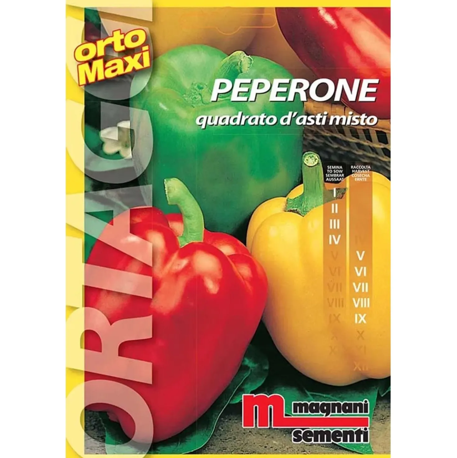 Semi orto maxi Peperone quadrato d`Asti