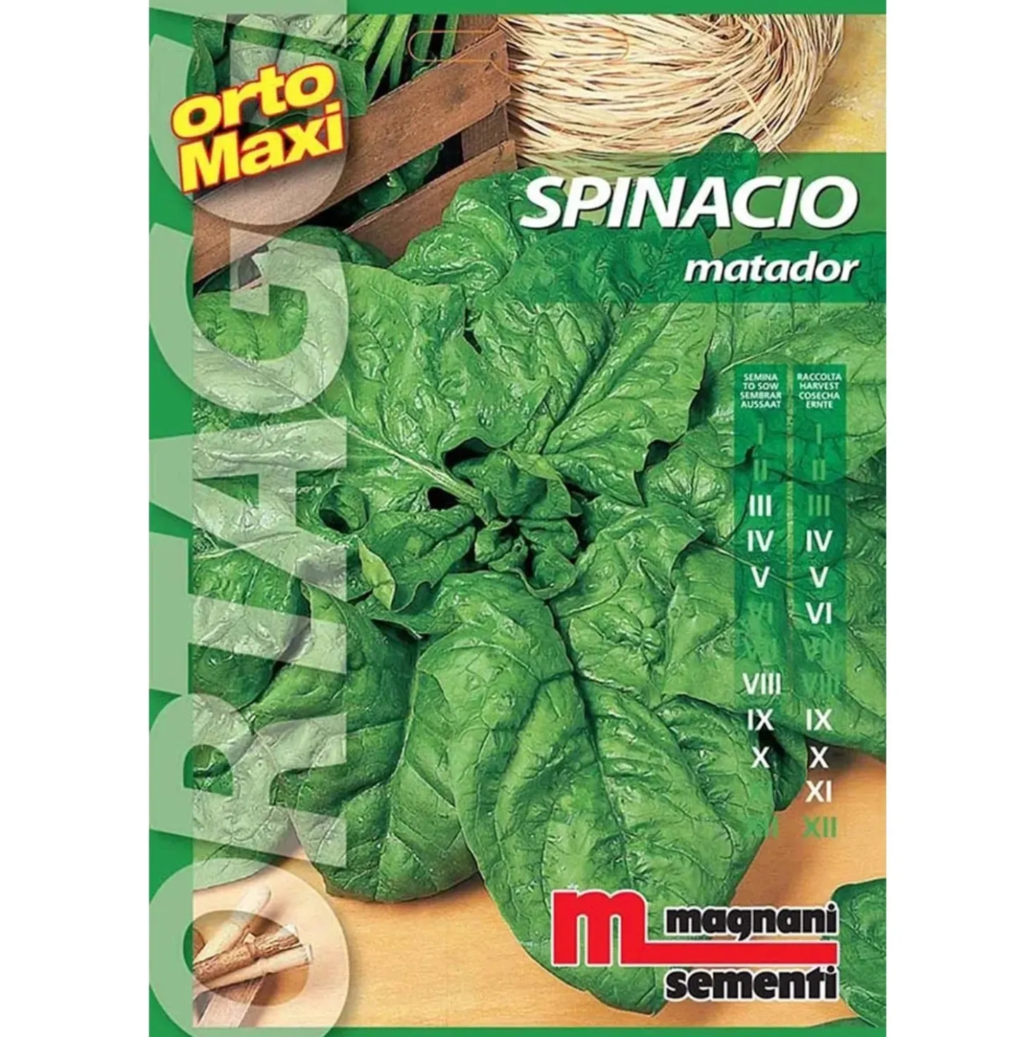 Semi orto maxi Spinacio Matador