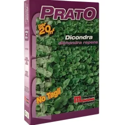 Semi prato Dicondra 200 g