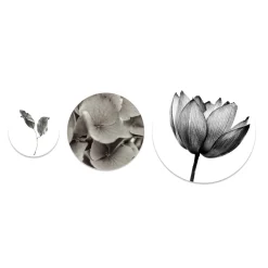 Set 3 pannelli tondi fiori in bianco e nero diametro 40-30-20 cm