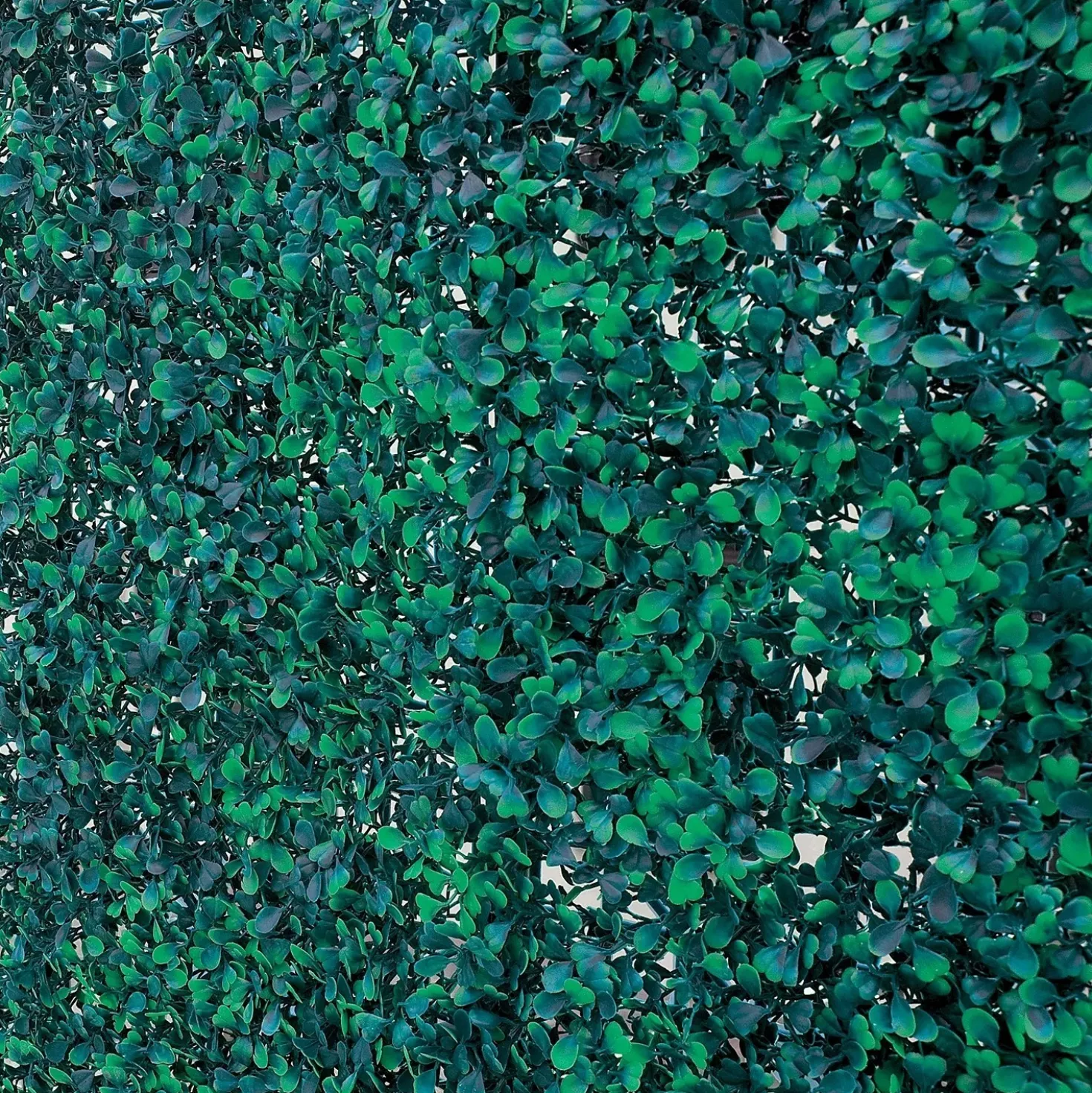 Siepe artificiale Buxus in poletilene H 0,5 m x L 1 m verde
