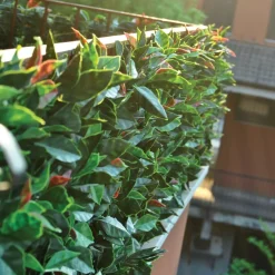 Siepe artificiale con foglie 3D Panel Photinia H 0,5 m x L 1 m verde
