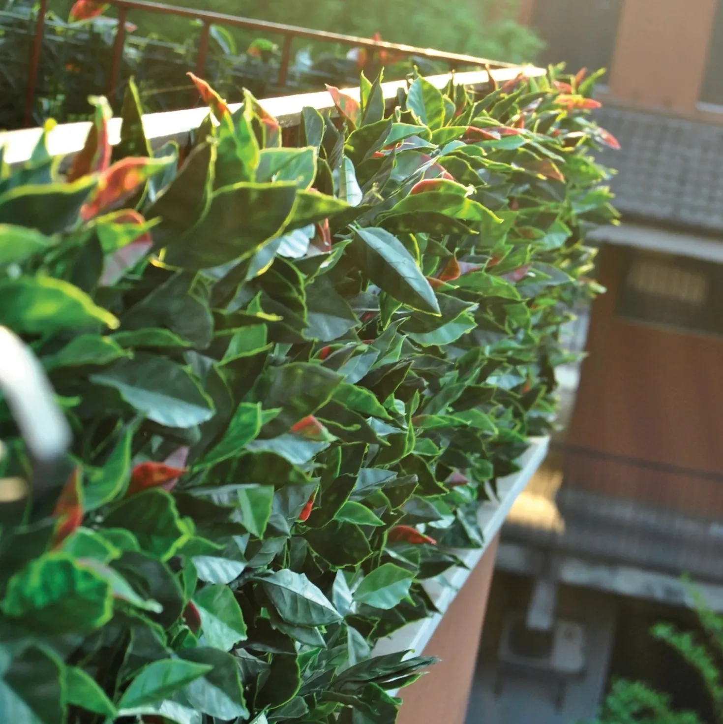 Siepe artificiale con foglie 3D Panel Photinia H 0,5 m x L 1 m verde