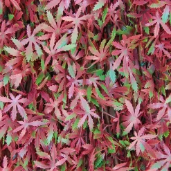 Siepe artificiale con foglie 3D in salice Red Acer 1x2 m, rosso