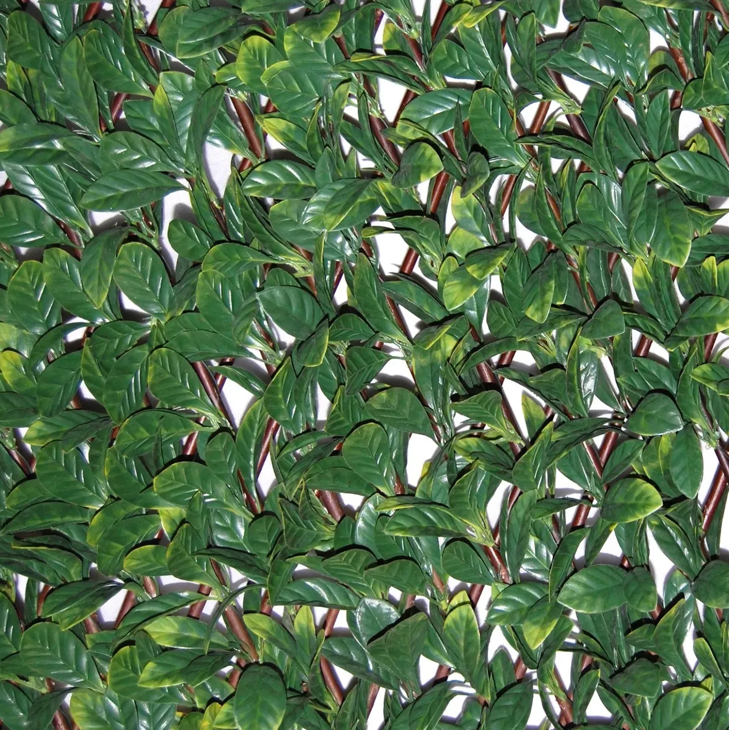 Siepe artificiale Osmanthus 3D in HDPE 1x2 m verde/marrone