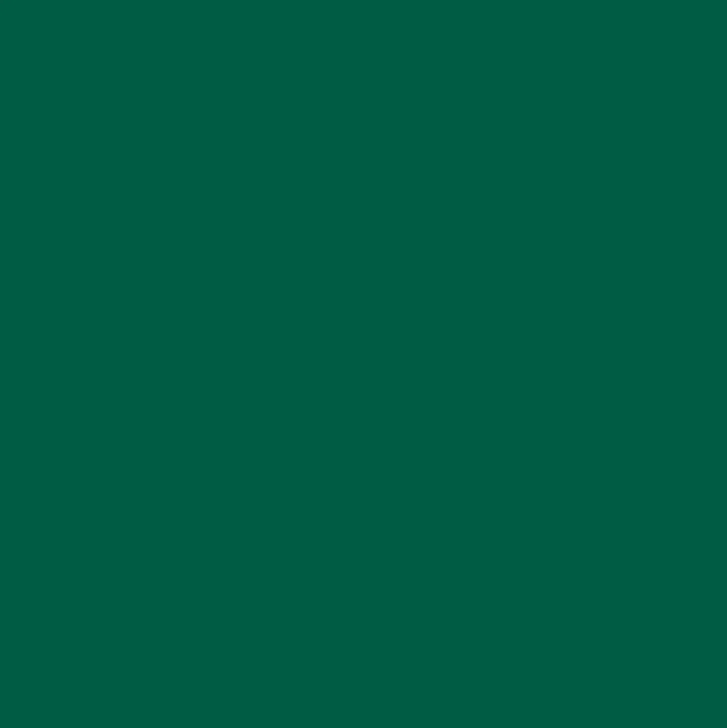Smalto ad acqua opaco OBI verde inglese 500 ml