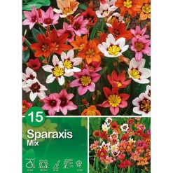 Sparaxis "Mix"