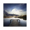 Stampa con cornice Artbox moon jetty nero 50x50 cm