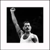 Stampa con cornice Freddy mercury nero 40x40 cm